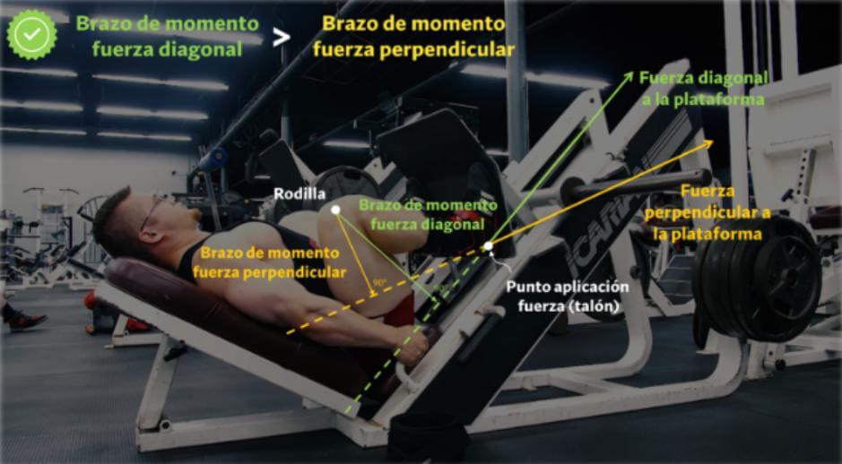Cómo desarrollar cuádriceps fuertes y estéticos (basado en ciencia) 23 Análisis simple de fuerzas en la prensa