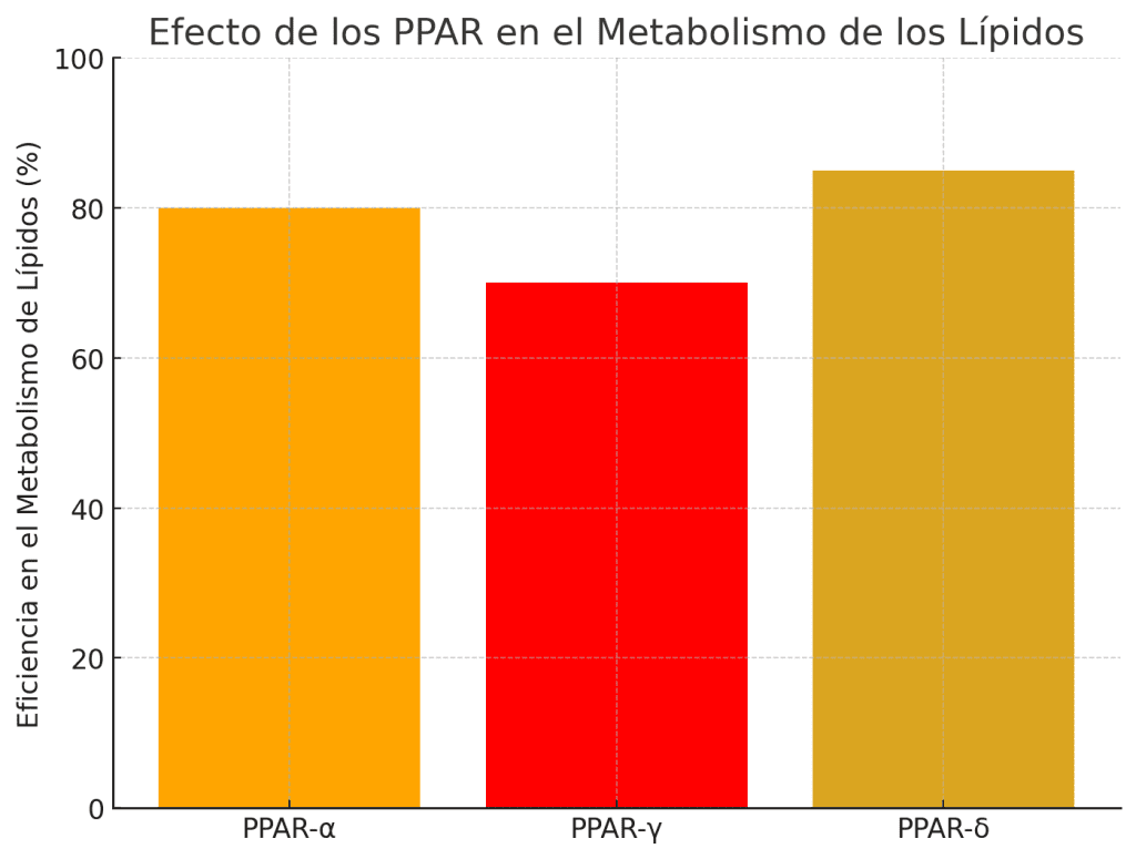 Genes PPAR y el metabolismo de lípidos