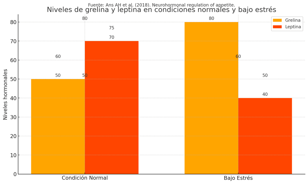 ¿Por qué tengo hambre todo el tiempo? Esto dice la ciencia. 3 Impacto estrés en regulación hormonal