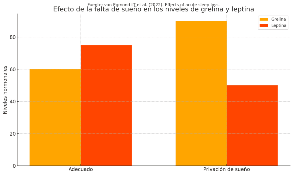 ¿Por qué tengo hambre todo el tiempo? Esto dice la ciencia. 5 El papel sueño en regulación apetito