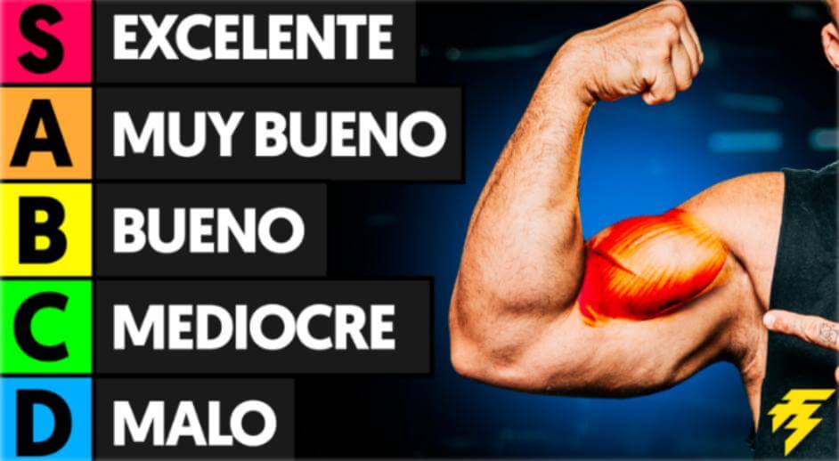 Ejercicios para los bíceps
