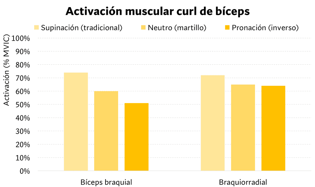 Activación muscular del bíceps
