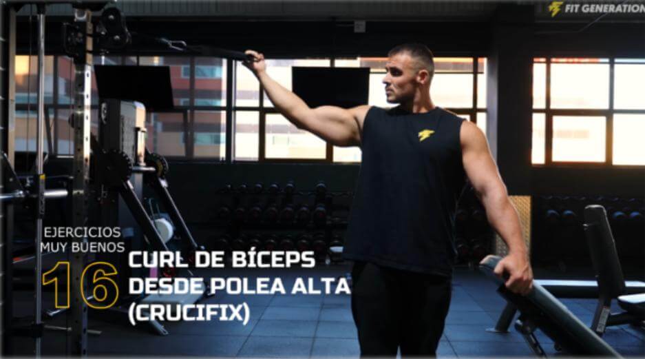 Curl de bíceps desde polea alta