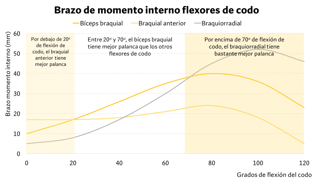 Brazo de momento interno