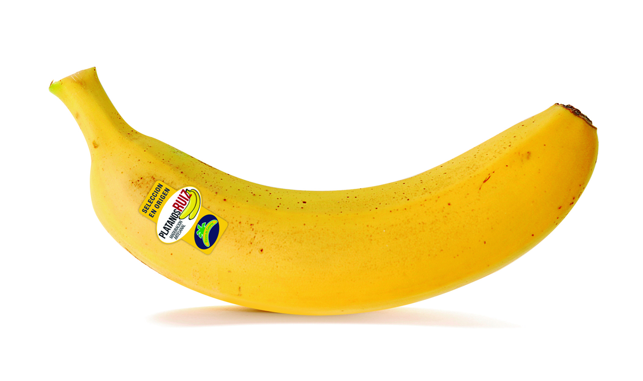 platano montaje