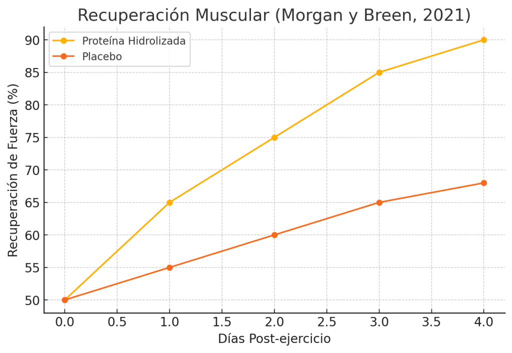 Recuperación muscular