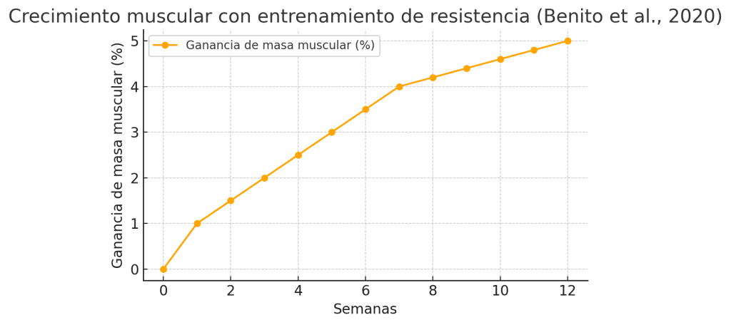 Crecimiento muscular entrenamiento de resistencia