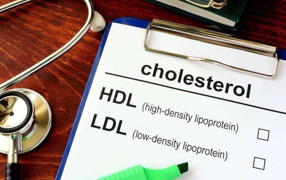 Colesterol bueno y malo