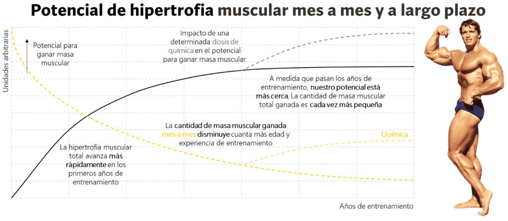 ¿Cuánto músculo se puede ganar en 30 días? (según la ciencia) 5 La tasa de ganancia muscular