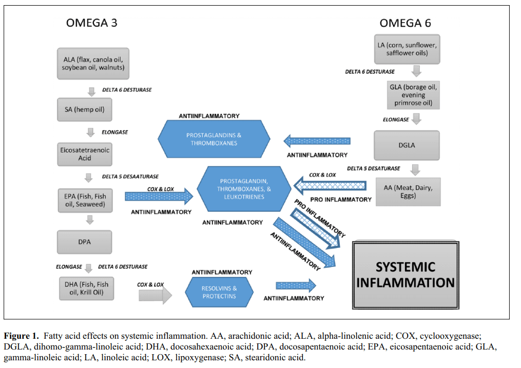 Componentes clave dieta antiinflamatoria