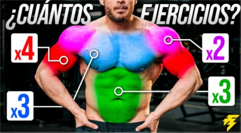 Ejercicios por grupo muscular