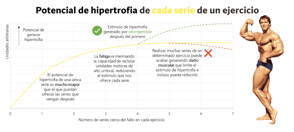 Potencial de hipertrofia cada serie