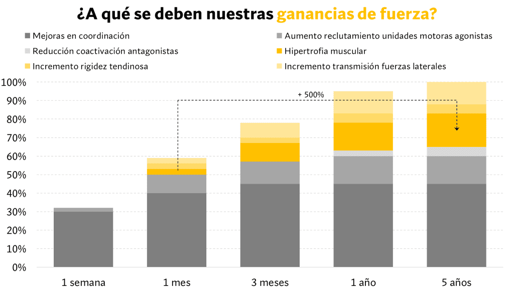 Ganancias de fuerza general