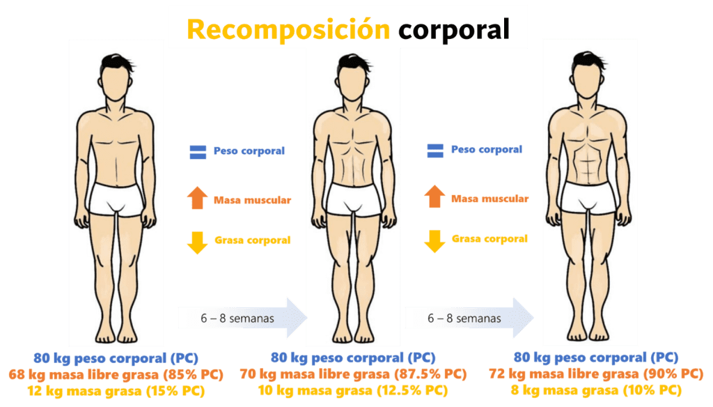 Recomposición Corporal: ganar músculo y perder grasa al mismo tiempo. 9 Recomposición en personas entrenadas