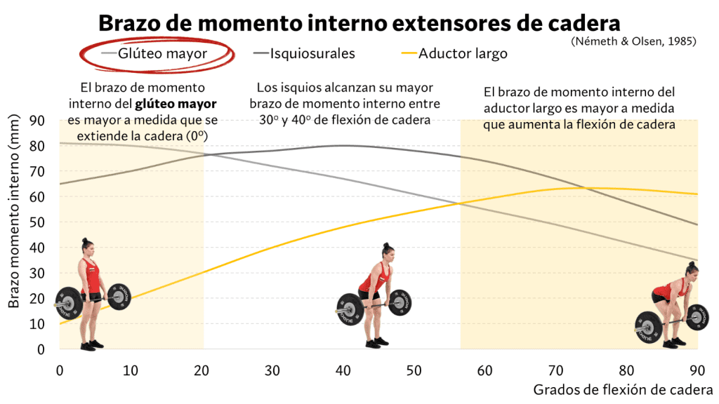Brazo de momento interno