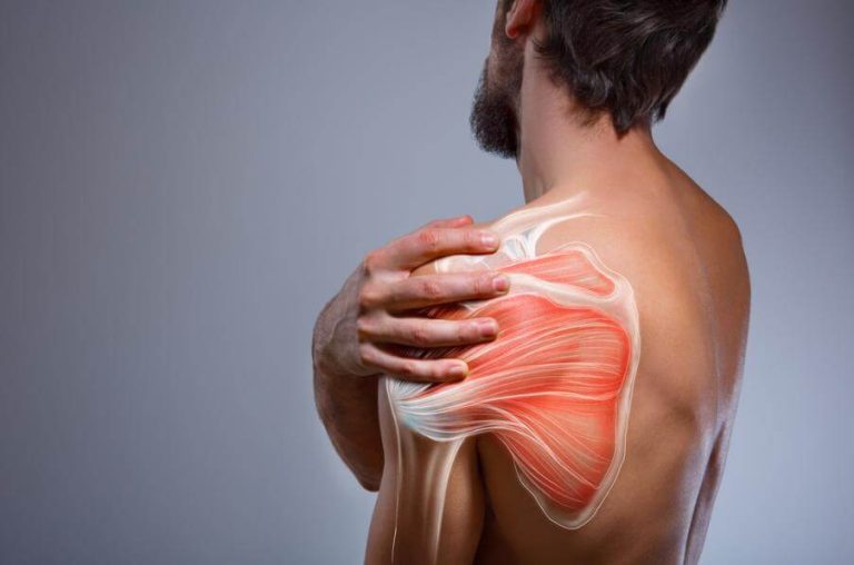 Causas de la sarcopenia