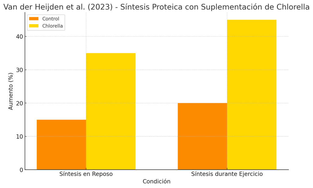 Síntesis proteica suplementación Chlorella