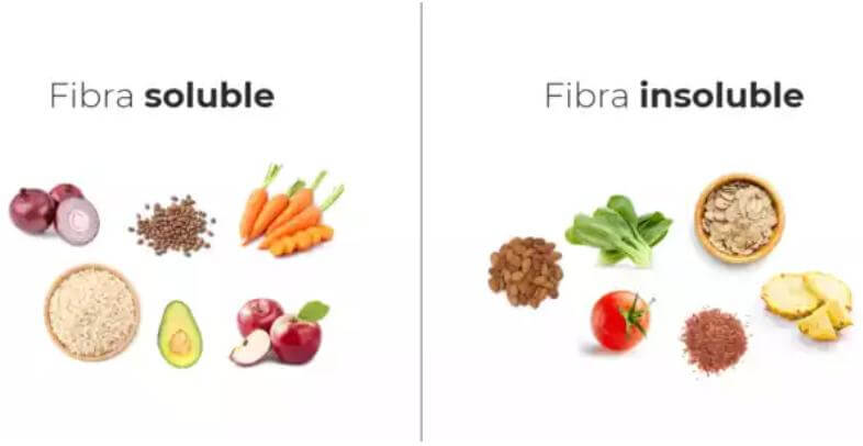 Fibra en la salud humana