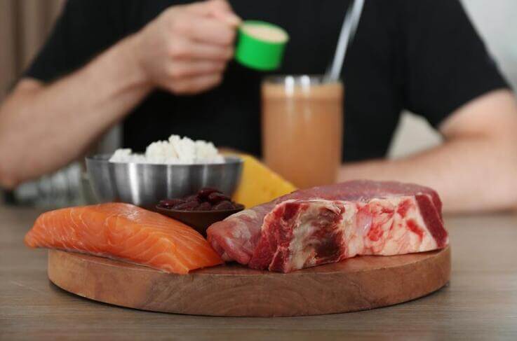 Mentiras dieta carnívoras