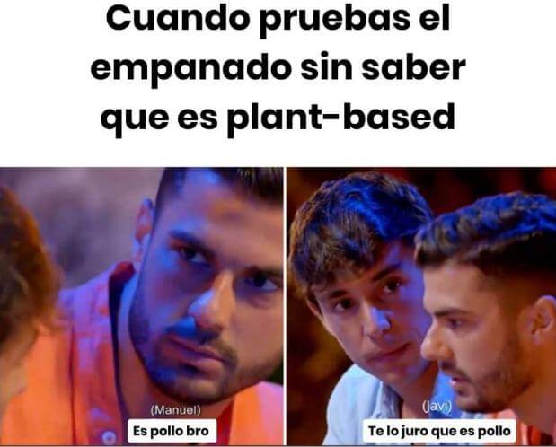 Heura sustituto de la carne
