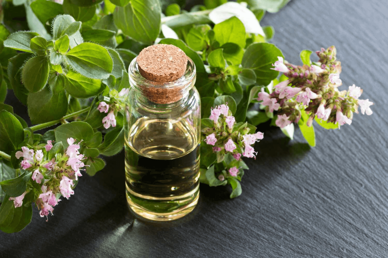 Aceite de orégano