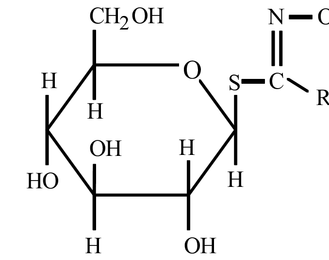 Estrucutura general de los glucosinolatos