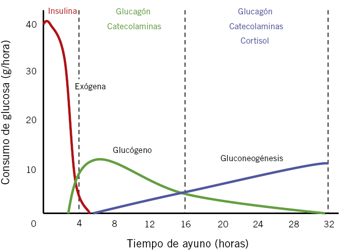 Variación del consumo de glucosa