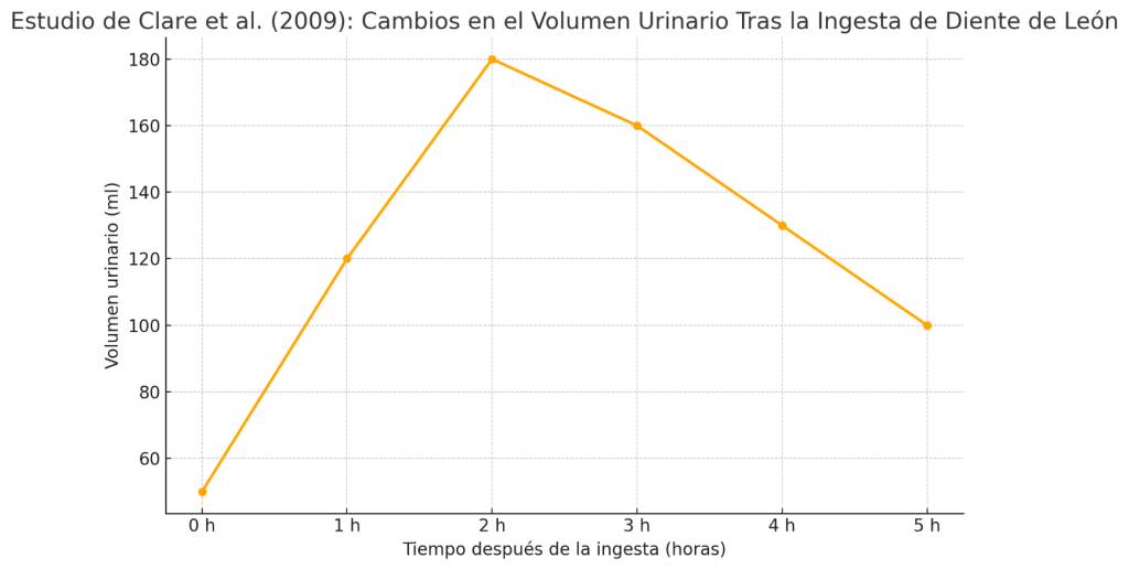 ¿Cómo tomar diente de león para perder peso? 3 Cambios en el volumen urinario
