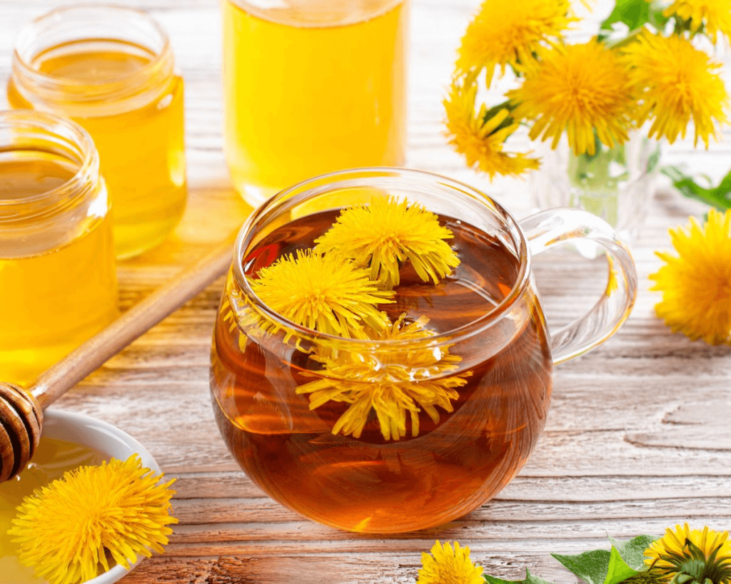 ¿Cómo tomar diente de león para perder peso? 7 Infusión de hojas y flores