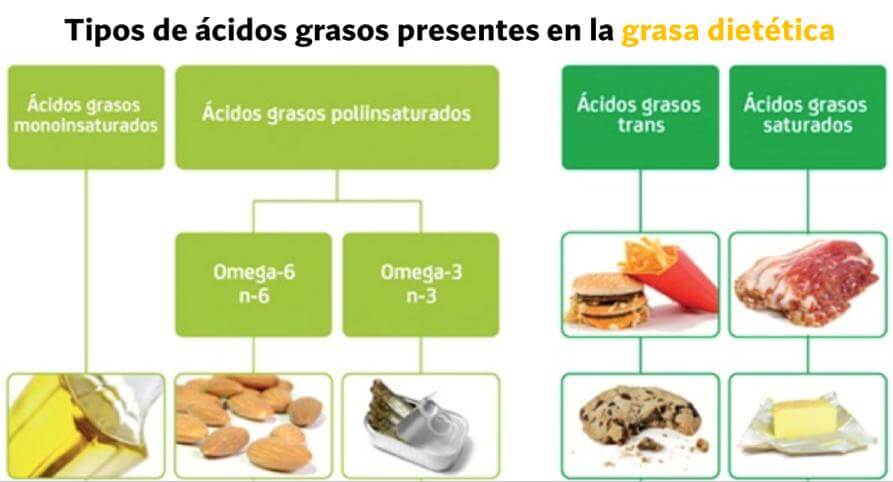 Tipos de grasa en la dieta
