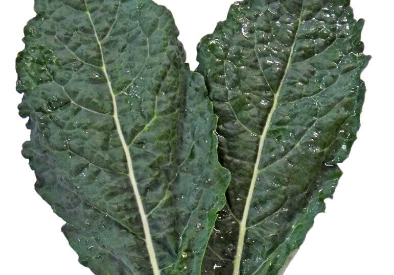 11 mejores alimentos veganos para ganar músculo 22 Hojas verdes alimento vegano