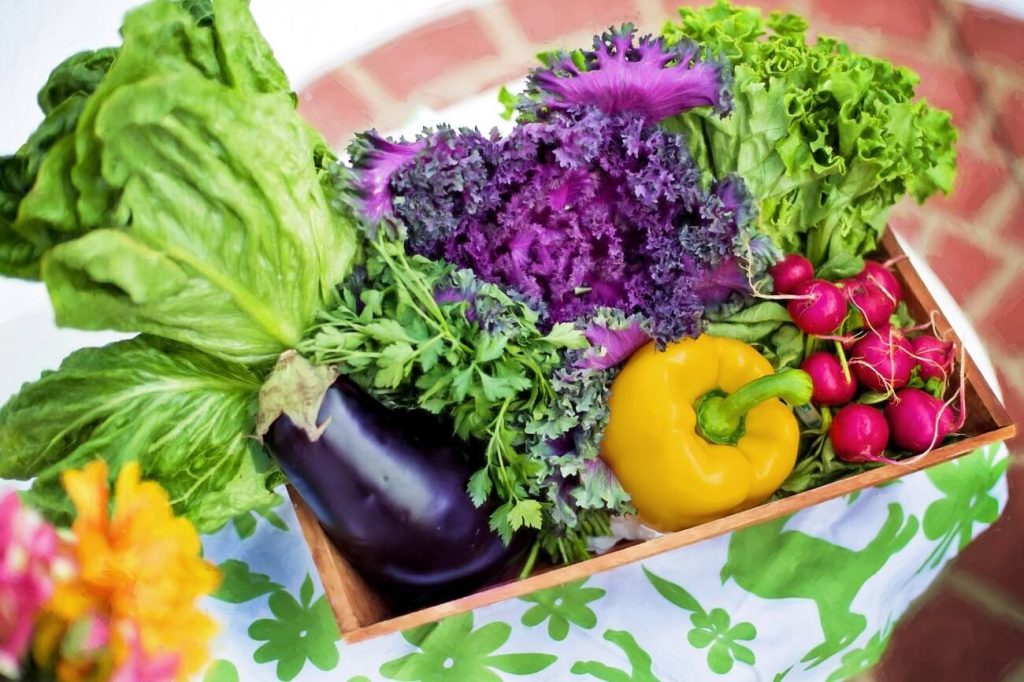 Alimentos fuente de nitratos