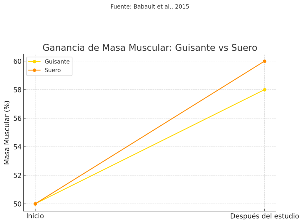 ¿Cuál es la mejor proteína para intolerantes a la lactosa? 5 Aumento de masa muscular