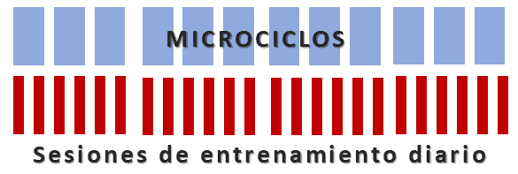 ¿Qué es un microciclo, mesociclo y macrociclo de entrenamiento? 3 Características del microciclo