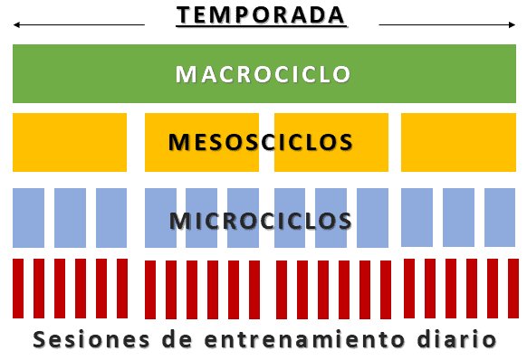 ¿Qué es un microciclo, mesociclo y macrociclo de entrenamiento? 7 Macrociclo para temporada de entrenamiento