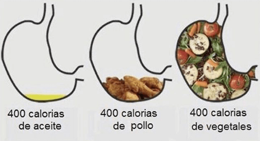 Carbohidratos saciedad proporcional