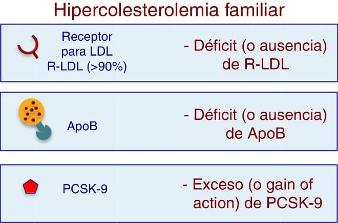 Hipercolesterolemia familiar