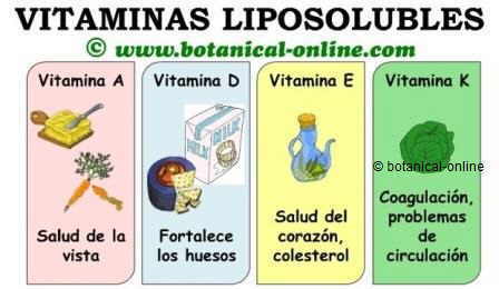 vitaminas liposolubles funciones
