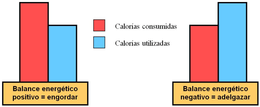 Balance energético negativo
