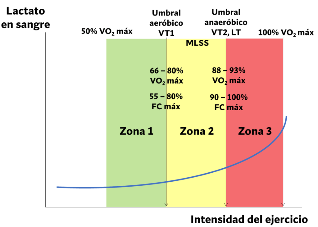 Zonas trabajo en función lactato sanguíneo