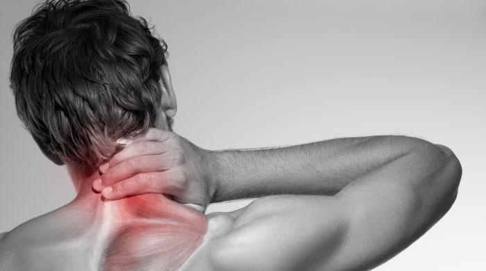 fito fisio dolor