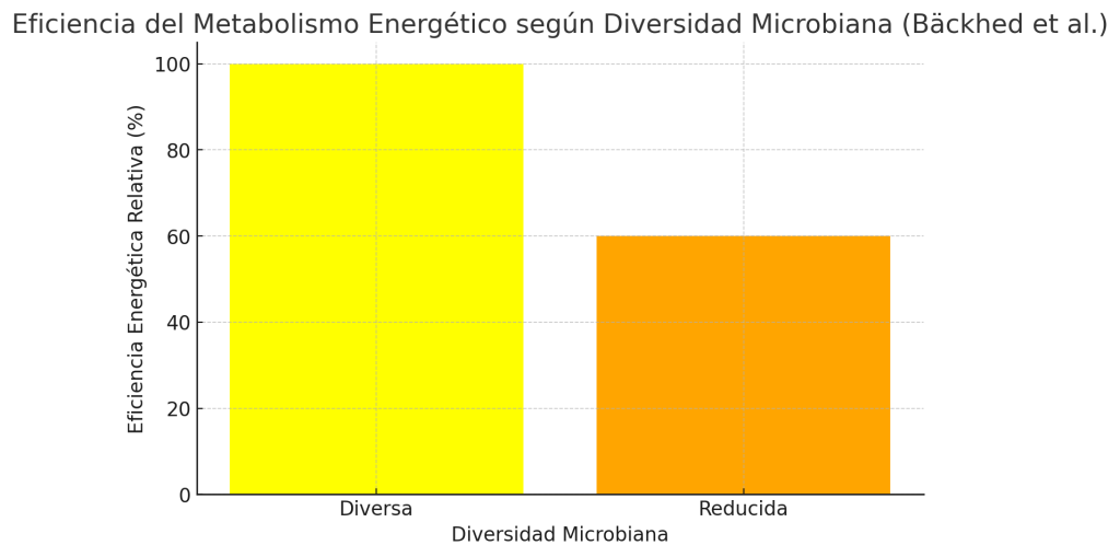 Eficiencia del metabolismo energético 