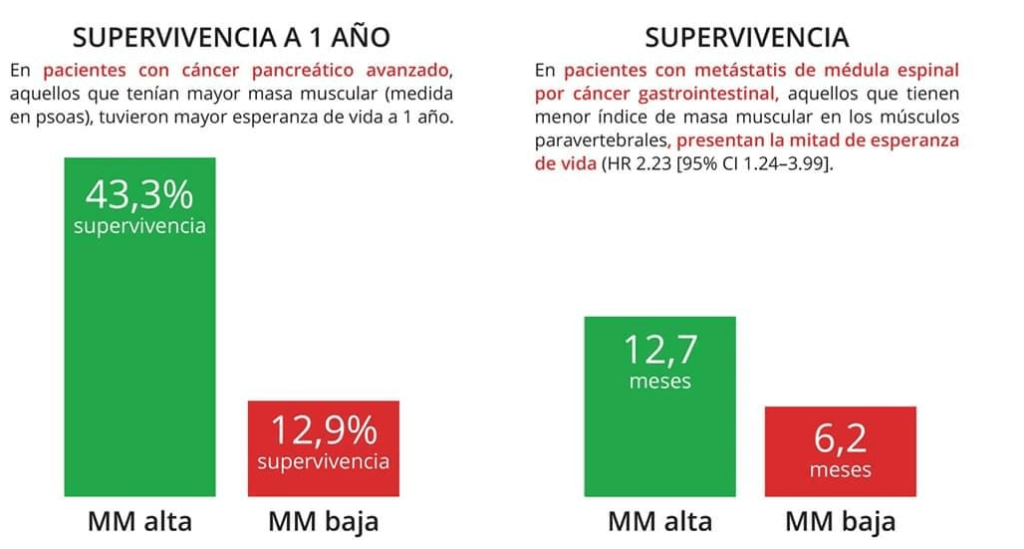 Salud inmunológica y cardiovascular