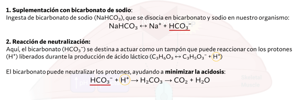 Mecanismo de tampón bicarbonato sodio