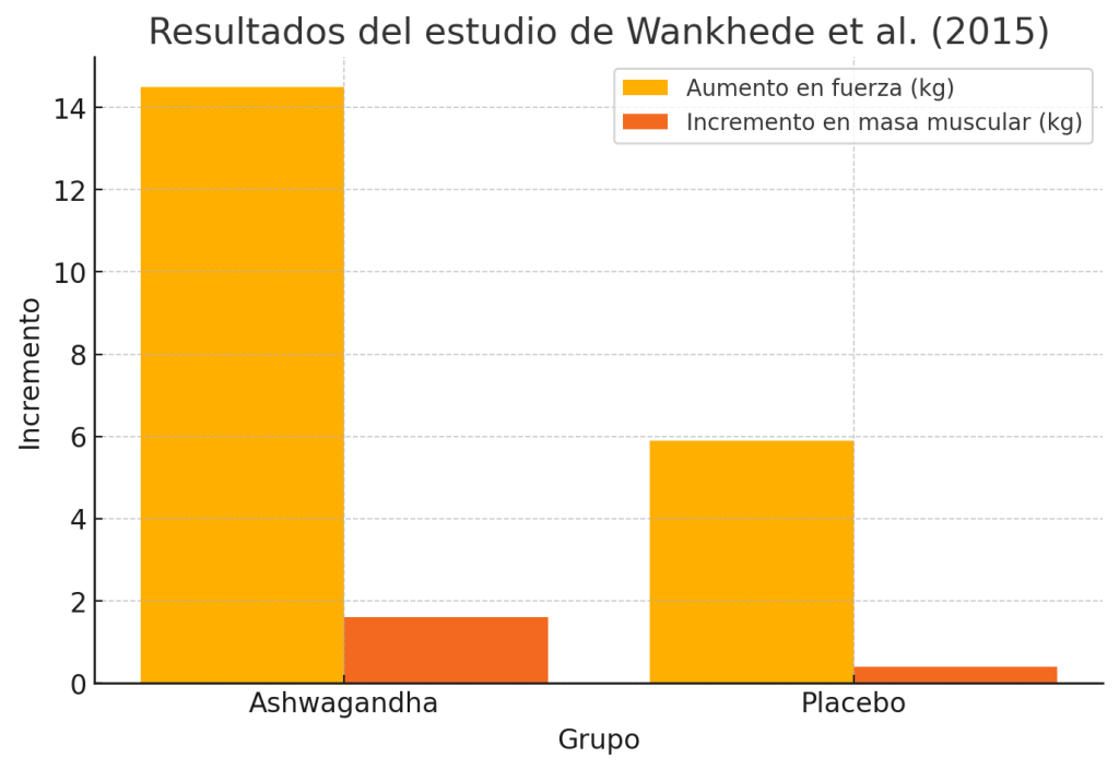 Ashwagandha y gimnasio, ¿qué beneficios tiene según la ciencia? 5 Incremento en fuerza y masa muscular