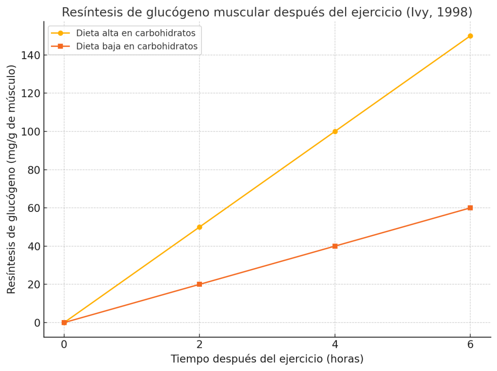 Resíntesis de glucógeno muscular