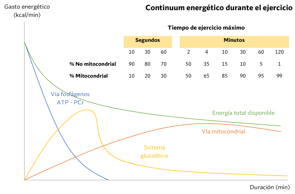 Teoría del Continuum Energético