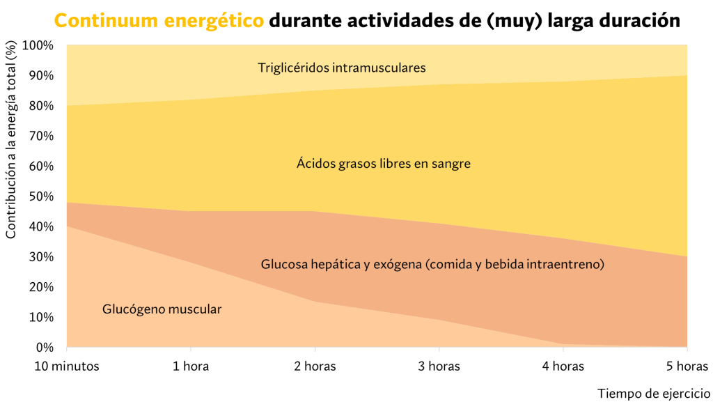 Teoría del Continuum Energético 