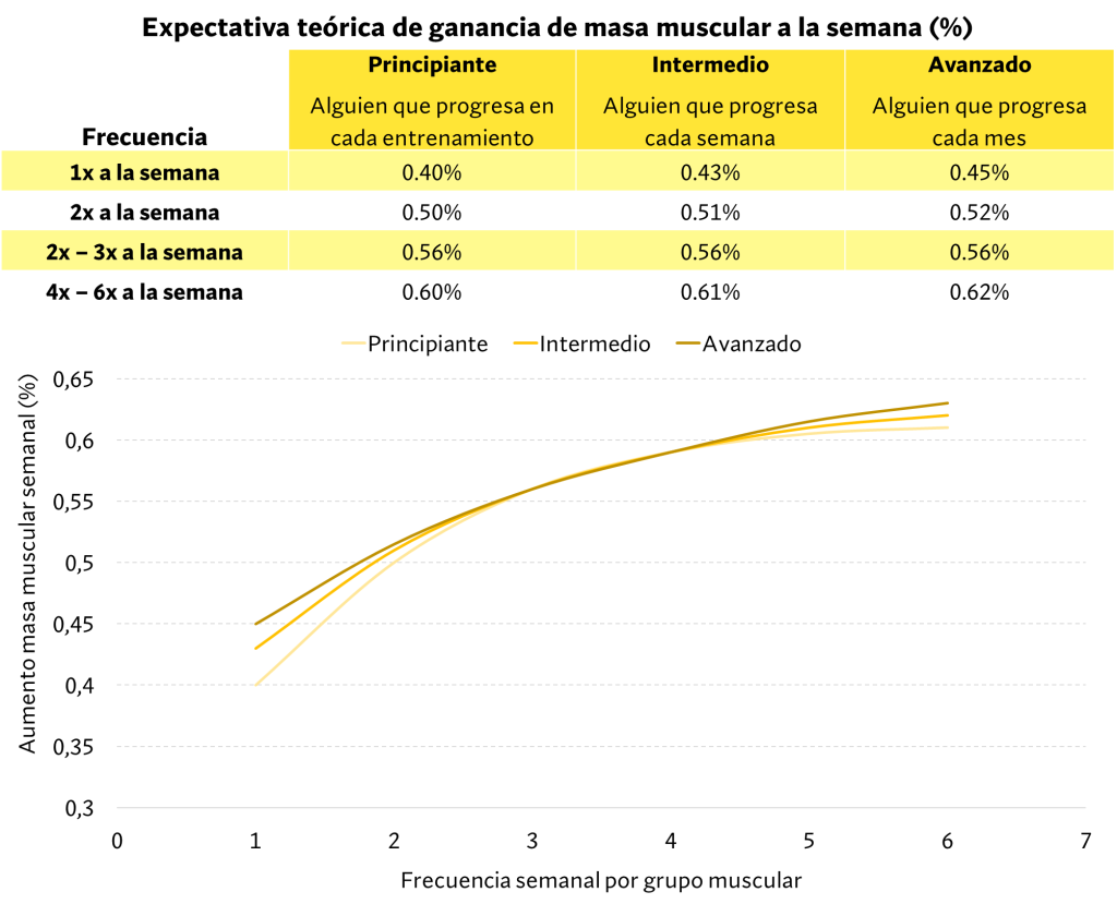 Expectativa teórica ganancia de masa muscular