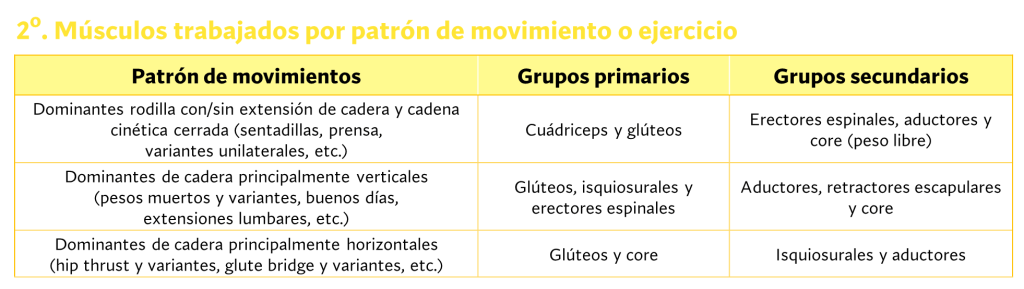Principales grupos musculares trabajados